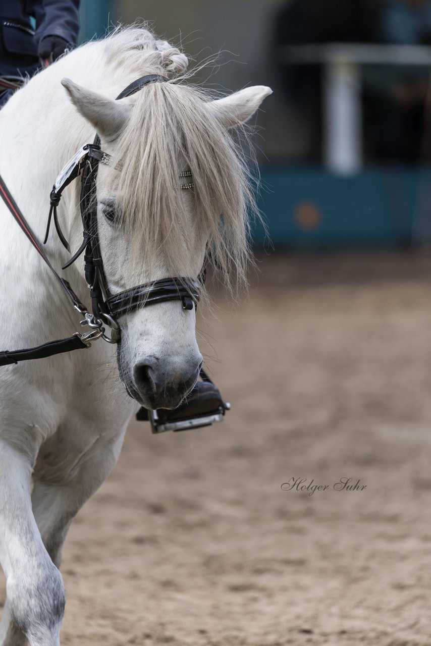 Bild 29 - Pony Akademie Turnier